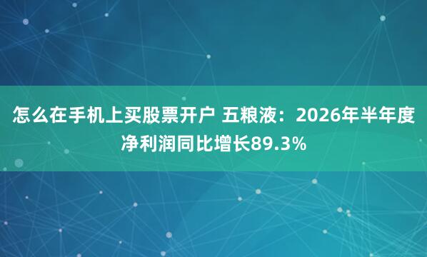 怎么在手机上买股票开户 五粮液：2026年半年度净利润同比增长89.3%